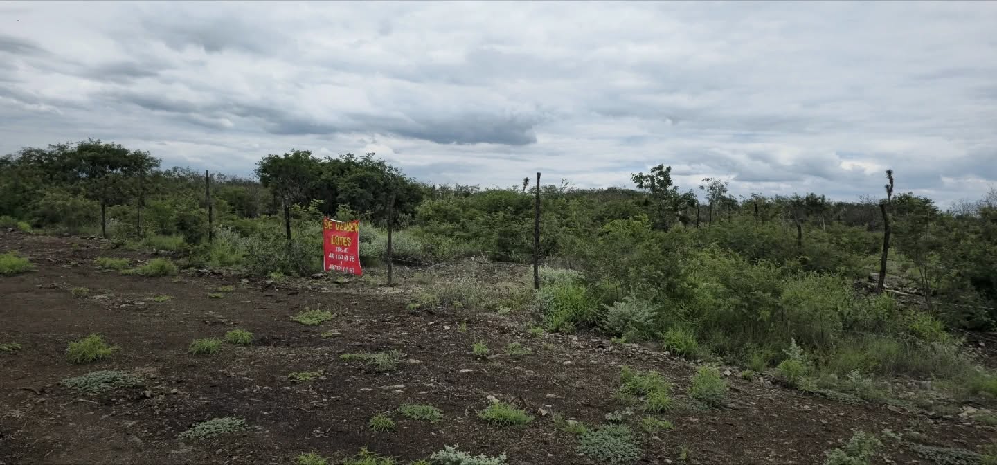 terreno en el capulin