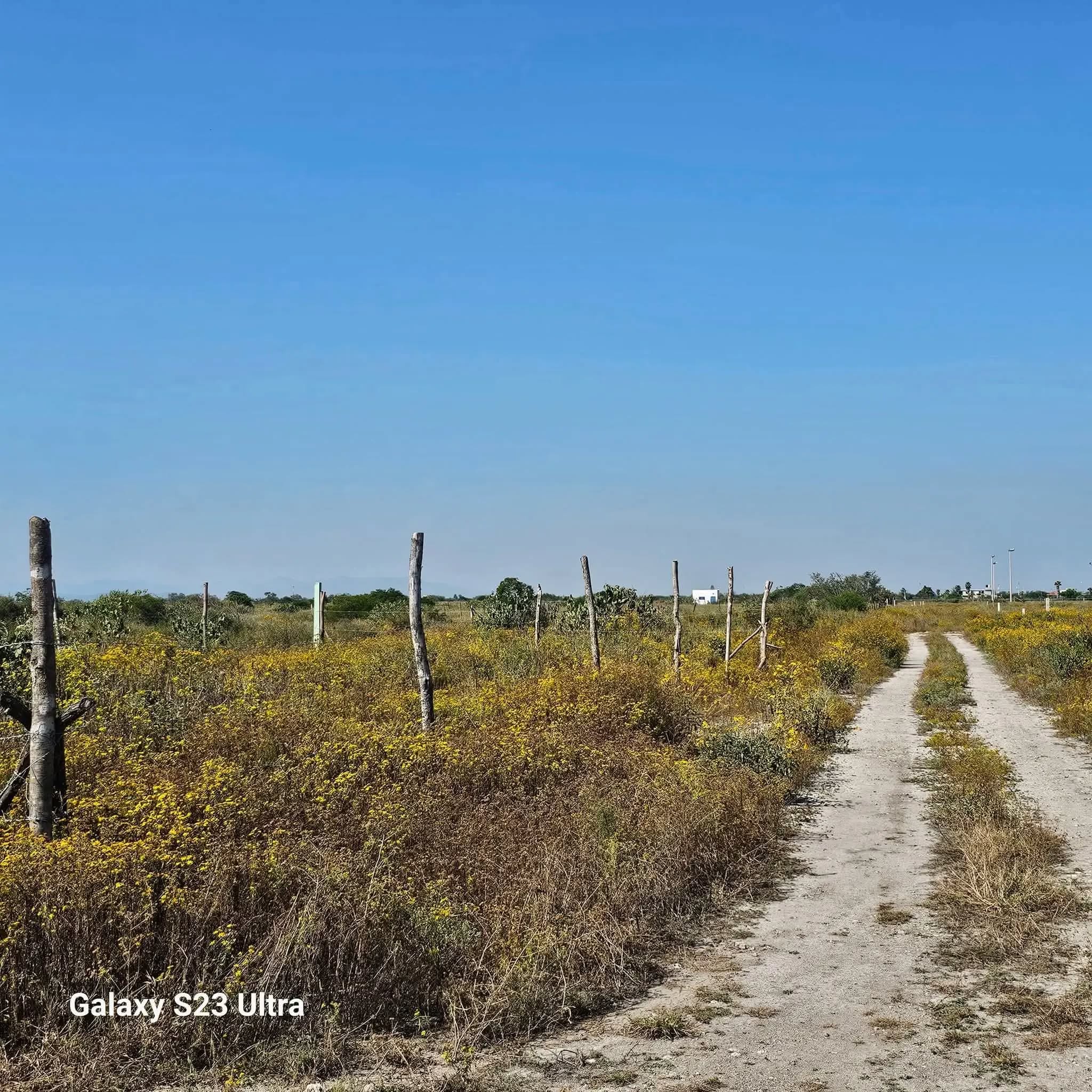 lotes atras del tecnologico